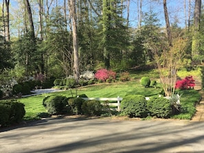 Large parking area and nice garden to enjoy.