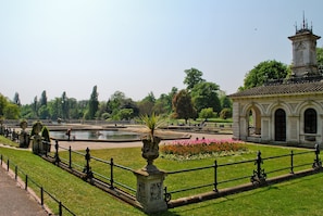 Trädgård