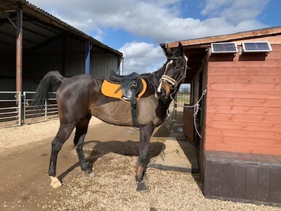 Moss Farm Cottage - A haven for horse & countryside lovers