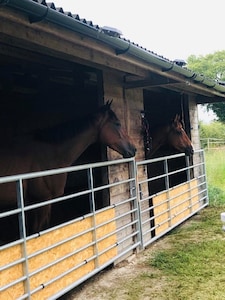 Moss Farm Cottage - A haven for horse & countryside lovers