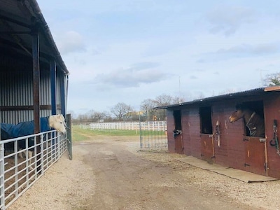 Moss Farm Cottage - A haven for horse & countryside lovers