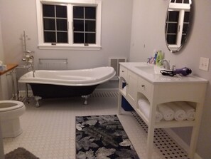 bathtub &  shower -in next pic