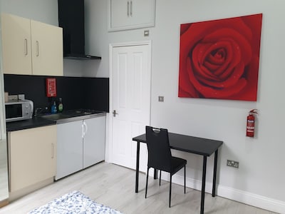 Modern Studio one minute walk from tube station