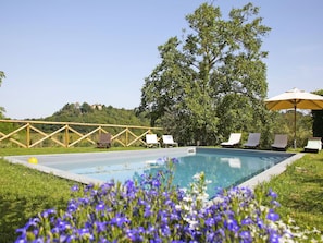 Blume, Himmel, Pflanze, Wasser, Natur, Azurblau, Blau, Natürliche Landschaft, Baum, Vegetation