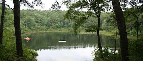 Terrain de l’hébergement 