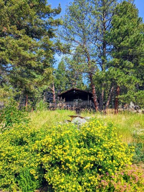 cabin