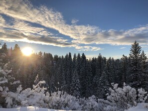 Skidåkning och snöaktiviteter