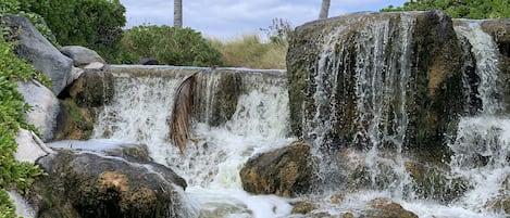 Parco della struttura