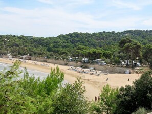Vegetation, Strand, Küste, Sand, Ufer, Wasservorräte, Wasser, Baum, Bucht, Meer