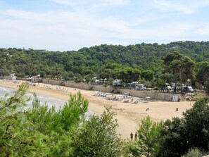 Vegetation, Beach, Coast, Sand, Shore, Water Resources, Water, Tree, Bay, Sea