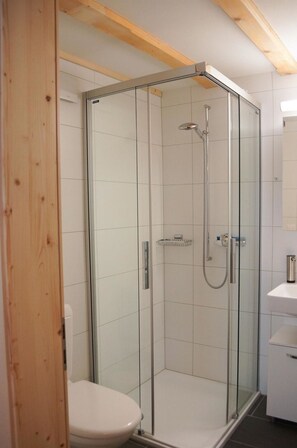 Shower Head, Shower Door, Plumbing Fixture, Shower, Bathroom, Door, Shower Bar, Building