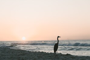 Beautiful sunrises