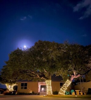 A full moon rising over our parking area. 