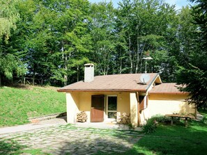 Plante, Bâtiment, Fenêtre, Arbre, Maison, Ombre, Chalet, Suppression Des Plantes Ligneuses, Herbe, Bois