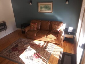 Living area with sofa bed