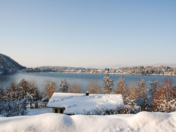 Sneeuw, Winter, Lucht, Freezing, Boom, Ijs, Water, Wolk, Meer, Vorst