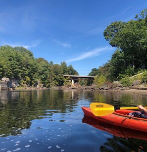 Bring your own kayak(s); river kayaking experience recommended