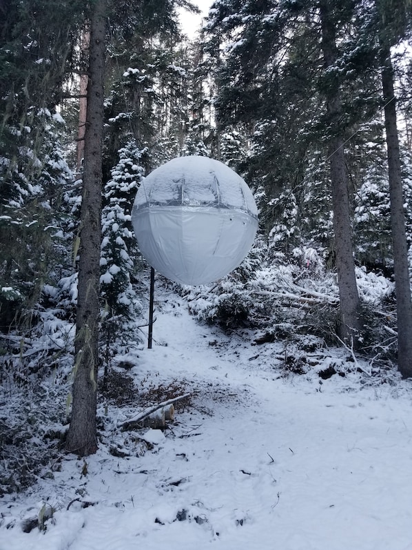 Tree House in the snow