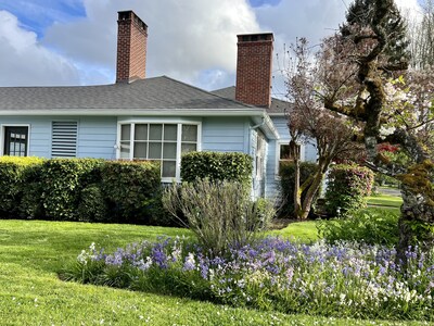Side yard