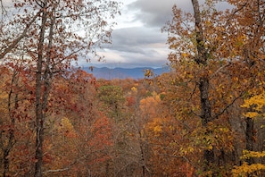 Mt. Le Conte