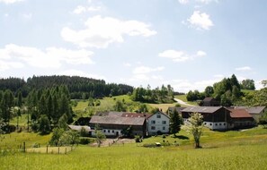 Utsikt från luften
