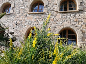 Facade/entrance,Spring