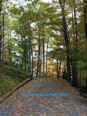 Driveway:  looking from cabin to Catawba Ridge.