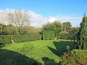 Cloud, Sky, Plant, Natural Landscape, Branch, Tree, Land Lot, Grass, Hedge, Landscape