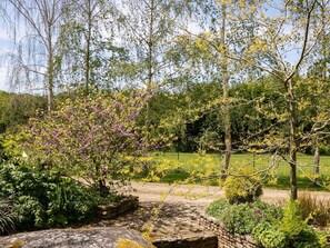 Plante, Paysage Naturel, Ciel, Fleur, Arbre, Ombre, Herbe, Arbuste, Couverture De Sol, Paysage