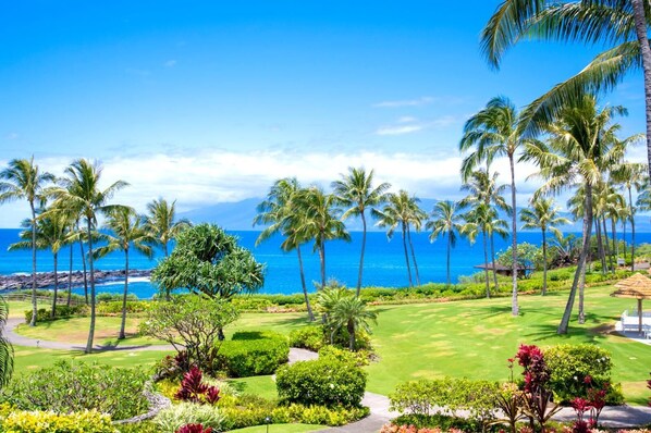 Wake to this tropical panorama: winding garden paths, waving palms, and the Pacific twinkling in the morning sun    Palapala-At-Montage-Kapalua-Bay