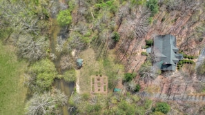 Ariel view of Black Bear River Lodge