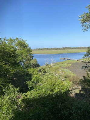 Recent picture from our patio