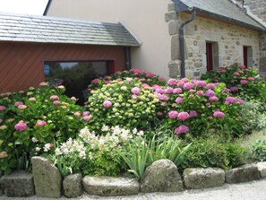 Jardines del alojamiento