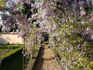 Jardines del alojamiento