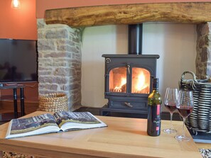 Wood burner | Swn-Y-Don, Llansteffan