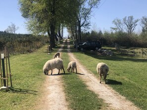 Entrée vue chemin