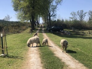 Unterkunftsgelände