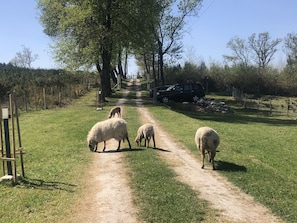 Parco della struttura