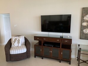 Living Room Entertainment Center
