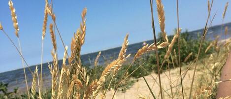 Naturstrand zu Fuß erreichbar 