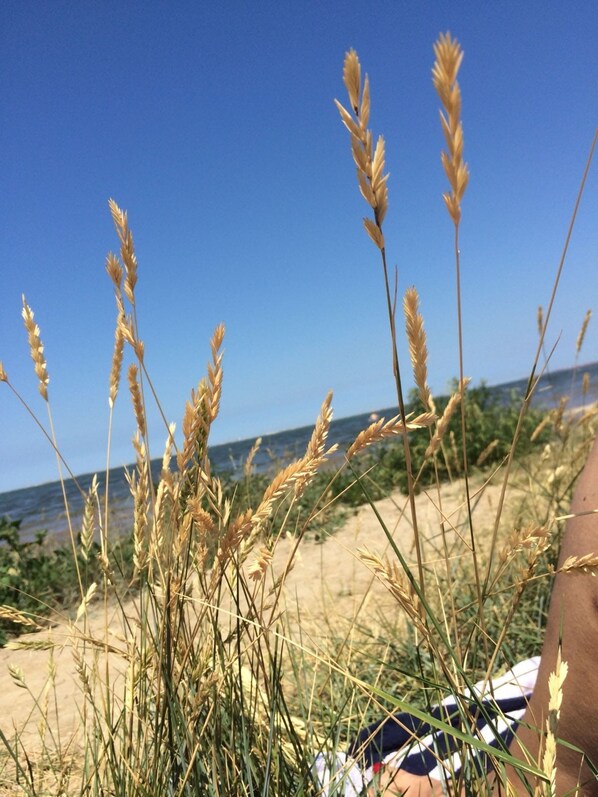 Naturstrand zu Fuß erreichbar 