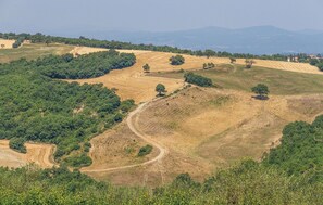 area
