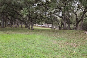 Backyard  by pond