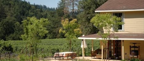 Farmhouse Porch and Vineyard