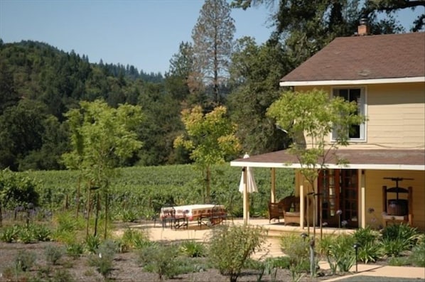 Farmhouse Porch and Vineyard