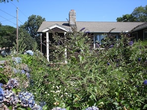 Main Image