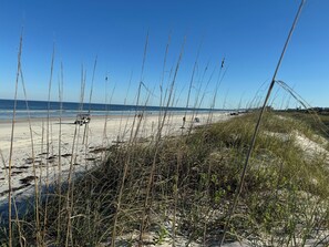 Beach looking south from last dune.