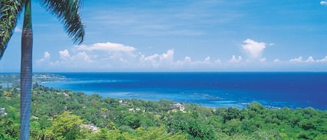 Blue Heaven, Montego Bay, Jamaica