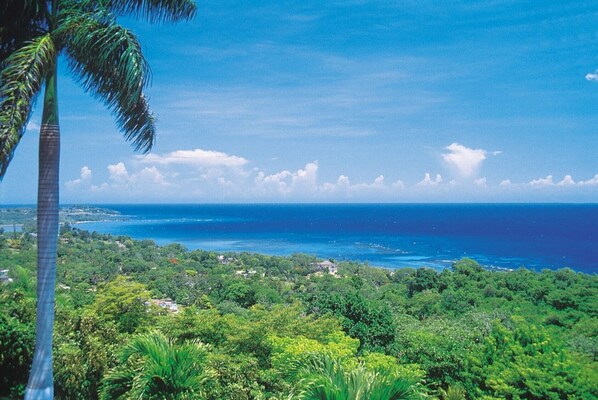 Blue Heaven, Montego Bay, Jamaica