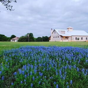 barn 